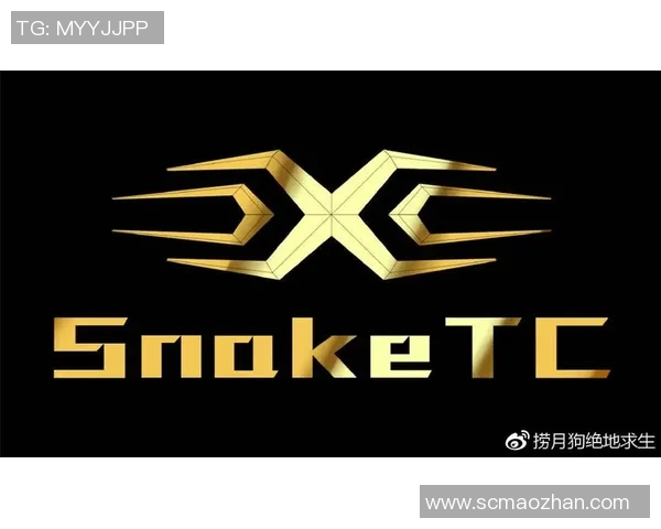 电竞数据电竞比分热议和平精英LNG战队状态转变与未来发展探讨